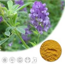 High Quality Alfalfa Extract Powder with 5%~50% Saponins and Isoflavonoids
