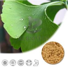 100% Natural Flavonoids Ginkgo Biloba Leaf Extract