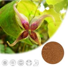 High Quality Epimedium Extract with 50% Icariin