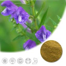 High Quality Baical Skullcap Root Extract with 98% Baicalin
