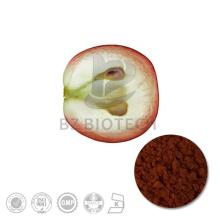 High Quality Grape Seed Extract with 60% Polyphenols
