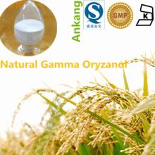 Rice Bran Gamma oryzanol
