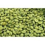 Green Coffee Bean Extract powder /Pure green coffee bean extract( with 10%~98% Chlorogenic Acid )