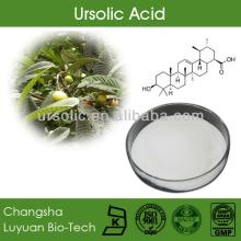 Ursolic acid extract