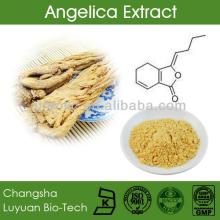 Angelica Extract Ligustulide 1%