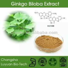Ginkgo Biloba Extract/Ginkgolides and flavone