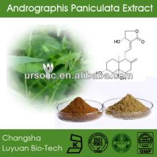 Andrographis Paniculata Extract Andrographolides