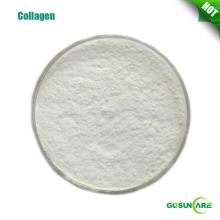 98% Protein Natural Hydrolyzed Collagen