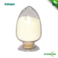 95% Protein High Quality Bovine Collagen