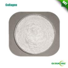  Hydrolyzed   Marine   Collagen  98% Protein