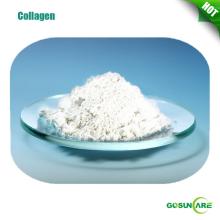 High Quality 98% Collagen Protein from fishscale