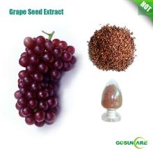 100% Natutal Grape Seed Extract OPC 95%