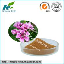100% Natural Marshmallow  Extract  /  Althaea   Officinalis   Extract  10:1