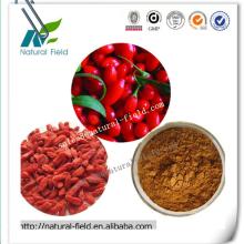 hot supplying goji berry powder Polysaccharides 40%,50%,60%