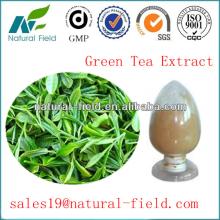 green tea extraction polyphenols powder 50%-98% by UV