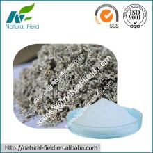 High Quality Vine Tea Extract Dihydromyricetin Powder 90%, 98% Manufacturer
