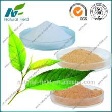 China green tea extract powder manufacturer