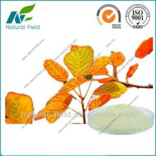 natural smoke tree extract fisetin powder