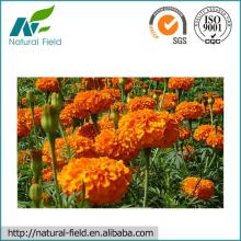 marigold extract powder lutein professional manufacturer