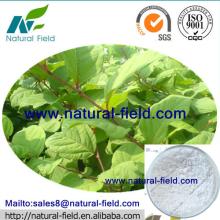 high quality polydatin polygonum cuspidatum root extract 8% 98% by HPLC