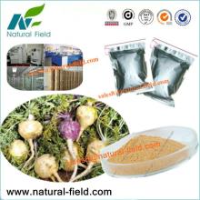 Factory price of  maca   extract   1 0: 1  in bulk sales!