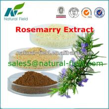 ursolic acid 98% cas 77-52-1 Rosemary extract