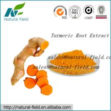 turmeric   root   extract   curcumin  powder