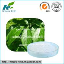 High Quality Eucommia Extract Powder Chlorogenic Acid 98% Manufacturer