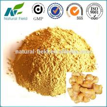 high quality 100%  natural   ginger   powder 