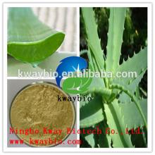 Best Selling Pure Natural Herb Medicine Aloe Vera Extract 10%-40% Barbaloin