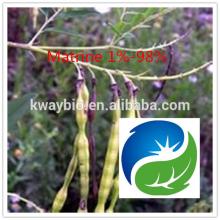 Natural 1%-98% HPLC Sophora Root Extract Matrine