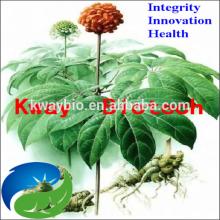2014 Hot! Health, High Quality Herb Medicine Panax Notoginseng P.E. with Saponins 5-60%HPLC
