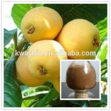 2014 Best Selling 25%-98%HPLC Ursolic Acid / Loquat Leaf Extract / Arbutin acid