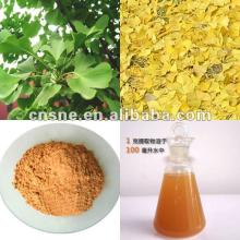  Ginkgo   Leaf   Extract 