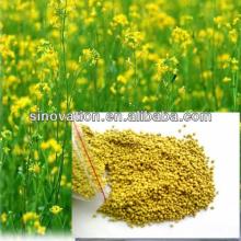 100% pure nature flower pollen