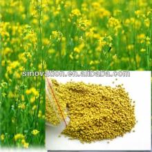100% pure natural bee pollen powder