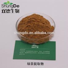 100% Nature Tea Polyphenol