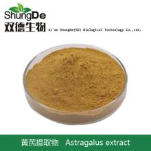 High Quality Astragalus Extract