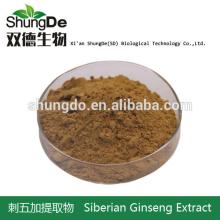 Manufacturer of spot supply acanthopanax acanthopanax extract saponins 0.8% fatigue resistance to ra