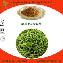 Food grade green tea leaf extract powder tea polyphenols
