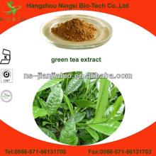 Green Tea Extraction Polyphenols powder 50%-98%