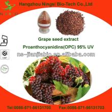 95% opc grape seed extract