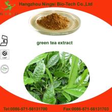 Food grade  green   tea   leaf   powder   tea  polyphenols