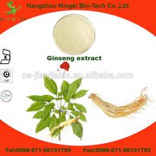 China supplier Natural Plant Extract Panax Gingseng Extract Powder ginsenosides
