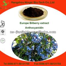 anthocyanidins/bilberry extract