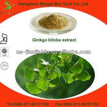 Ginkgo biloba extract