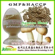 Agaricus blazei Extract