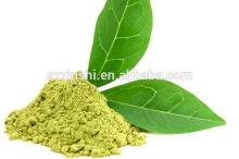 green tea extract 95%