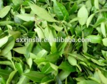 chinese green tea extract