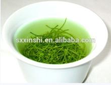 polyphenol green tea extract